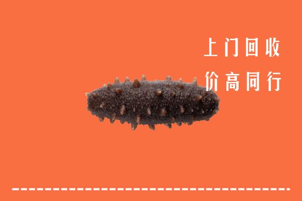 东营高价回收海参